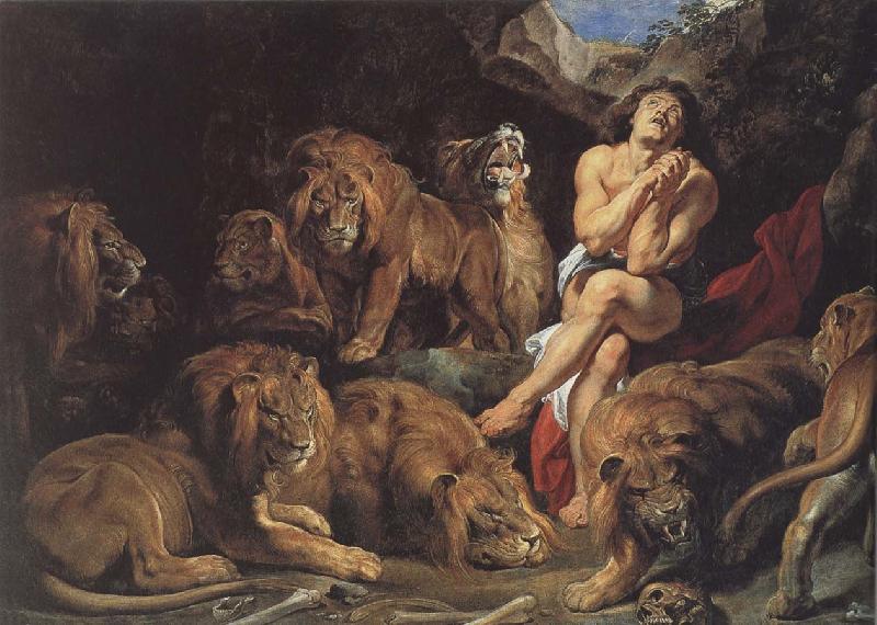 Peter Paul Rubens Daniel France oil painting art